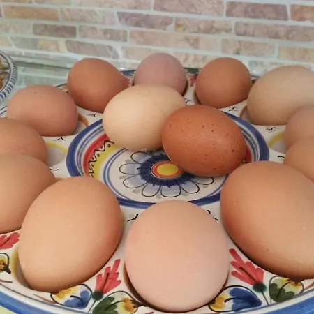 Frühstückspension La Perla 2